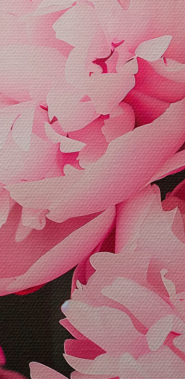 A group of pink flowers