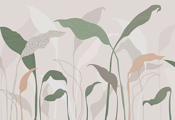 Un primer plano de las plantas Un primer plano de las plantas