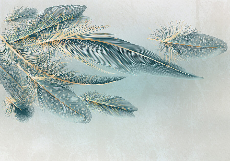 Un grupo de plumas sobre fondo blanco