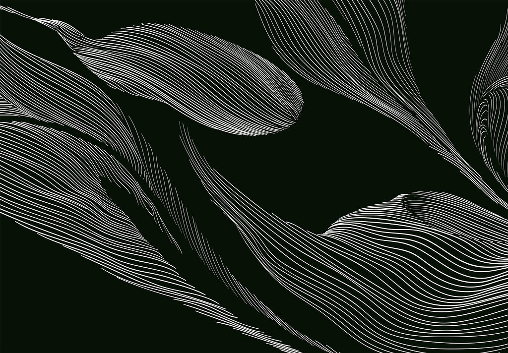 A white lines on a black background