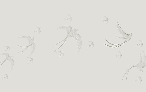 Un grupo de pájaros volando Un grupo de pájaros volando