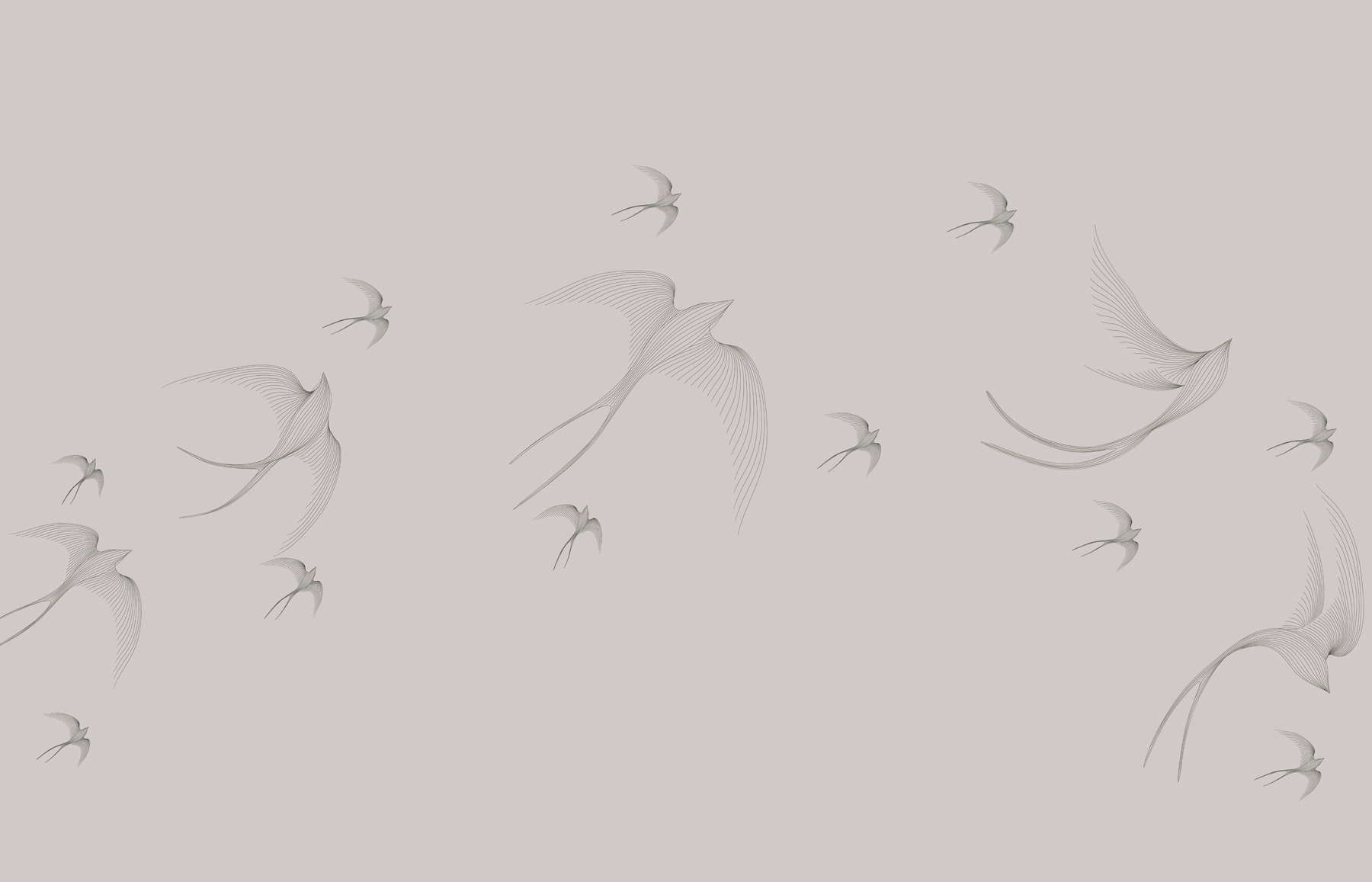 A group of birds flying