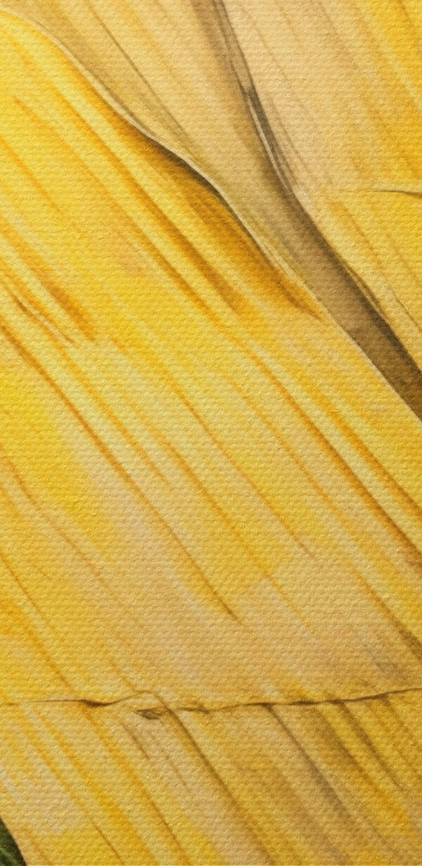 A close up of a colorful surface