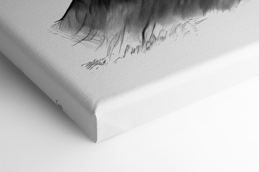 A drawing of a mountain