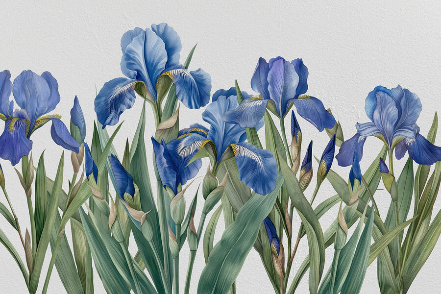 Un grupo de flores azules