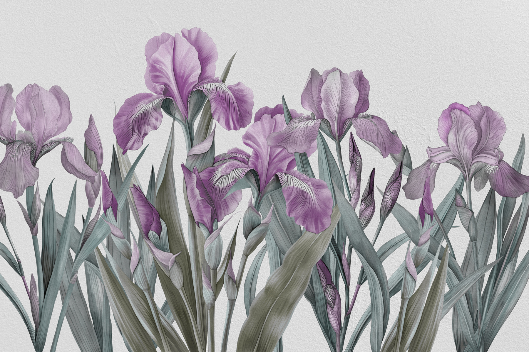 A group of purple flowers