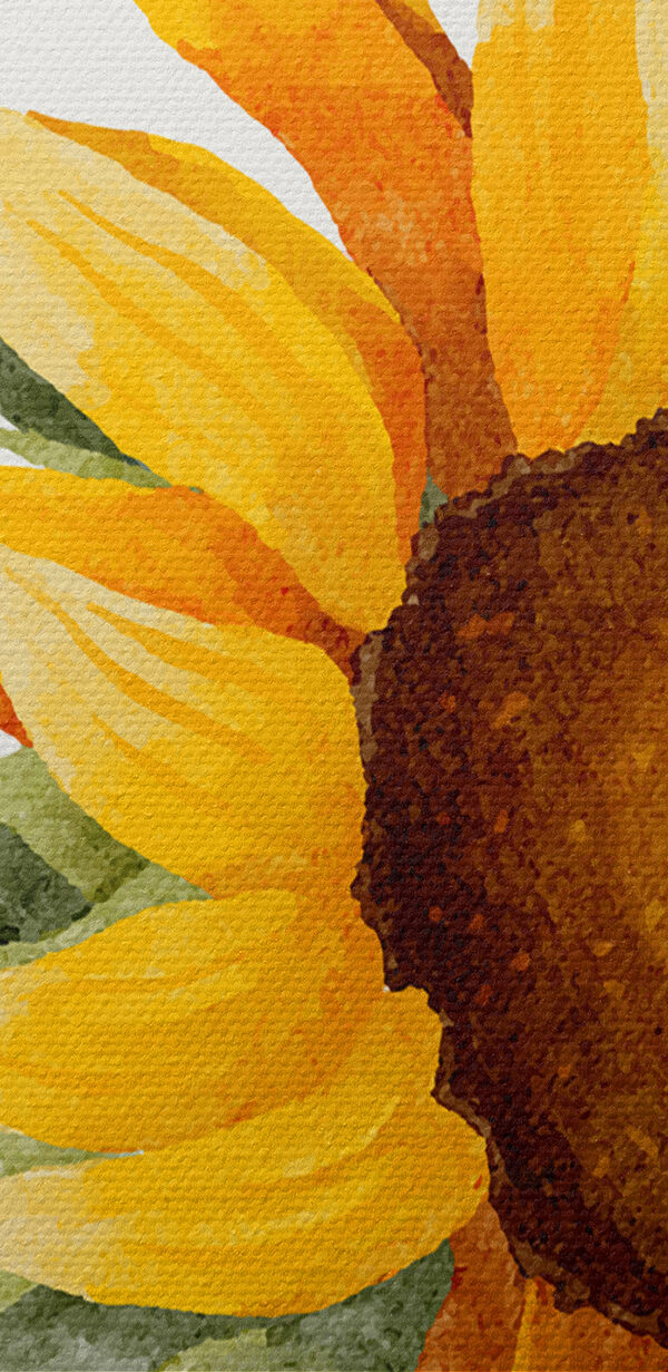 A close up of a sunflower