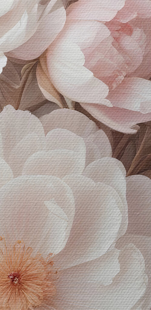 Group of white and pink flowers