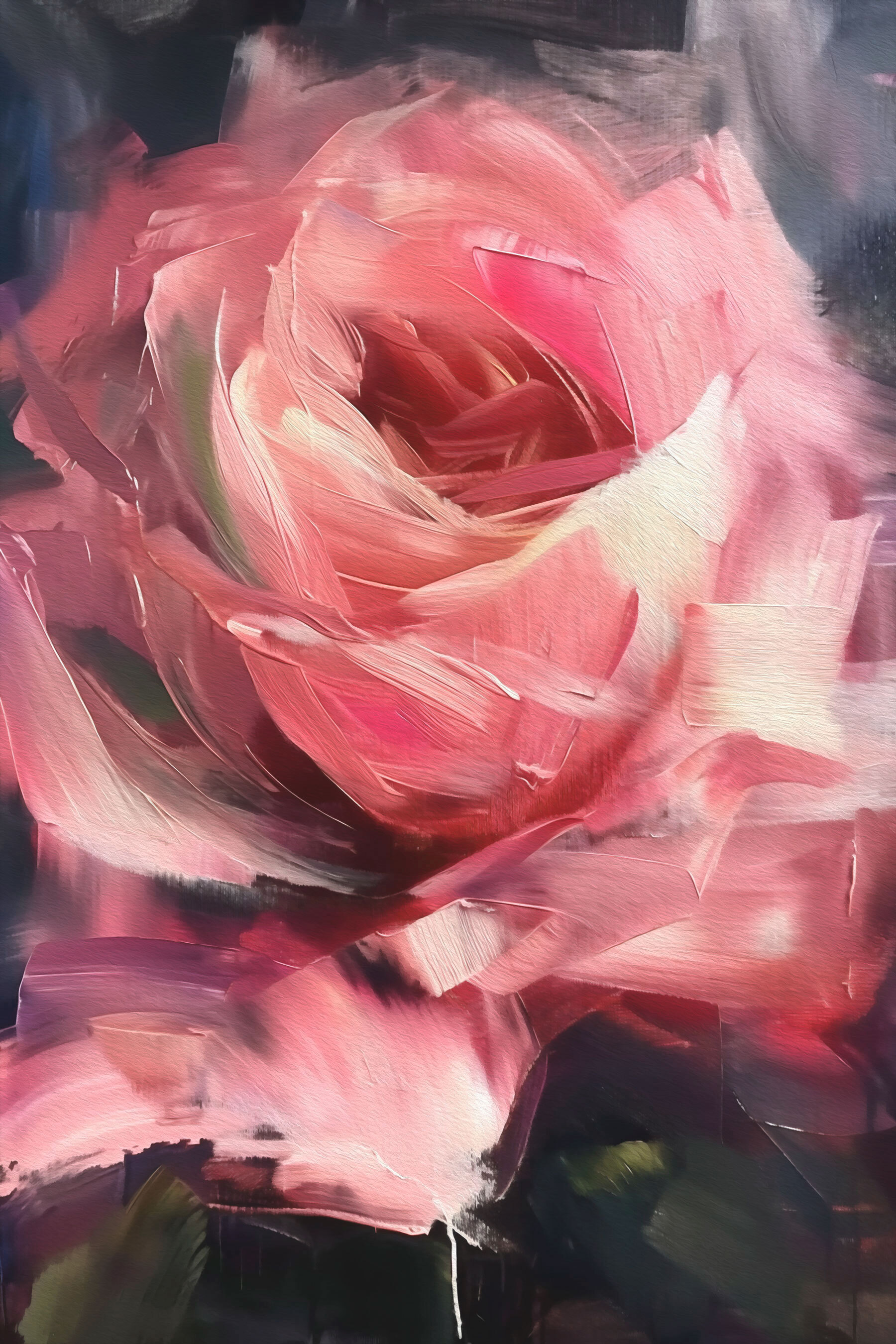 Close up of a pink rose
