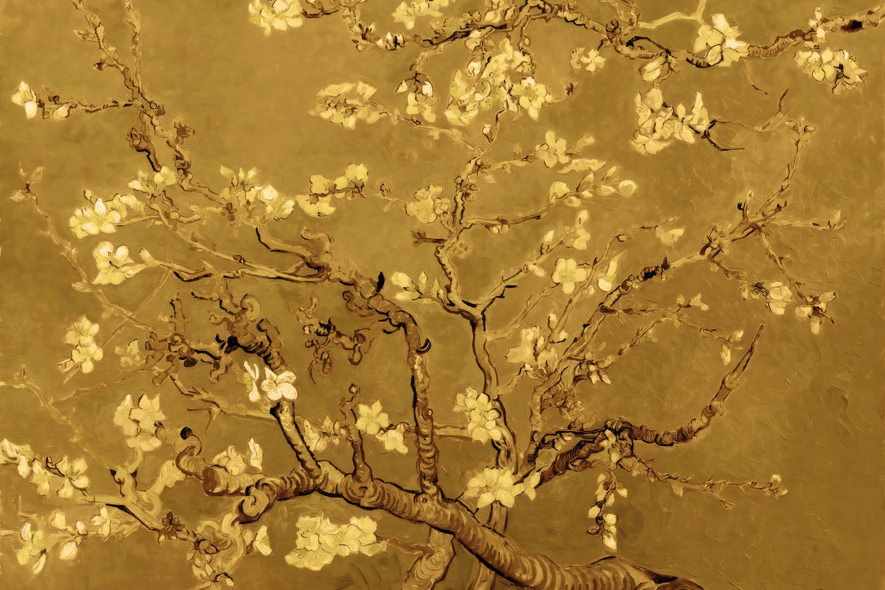 Tree with white flowers