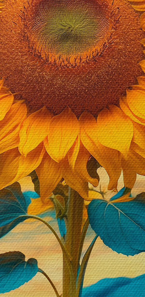 Sunflower with blue and yellow leaves Sunflower with blue and yellow leaves