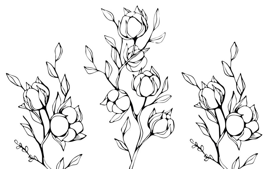 Fotomurales Dibujo en blanco y negro de flores y hojas - Imagen 3