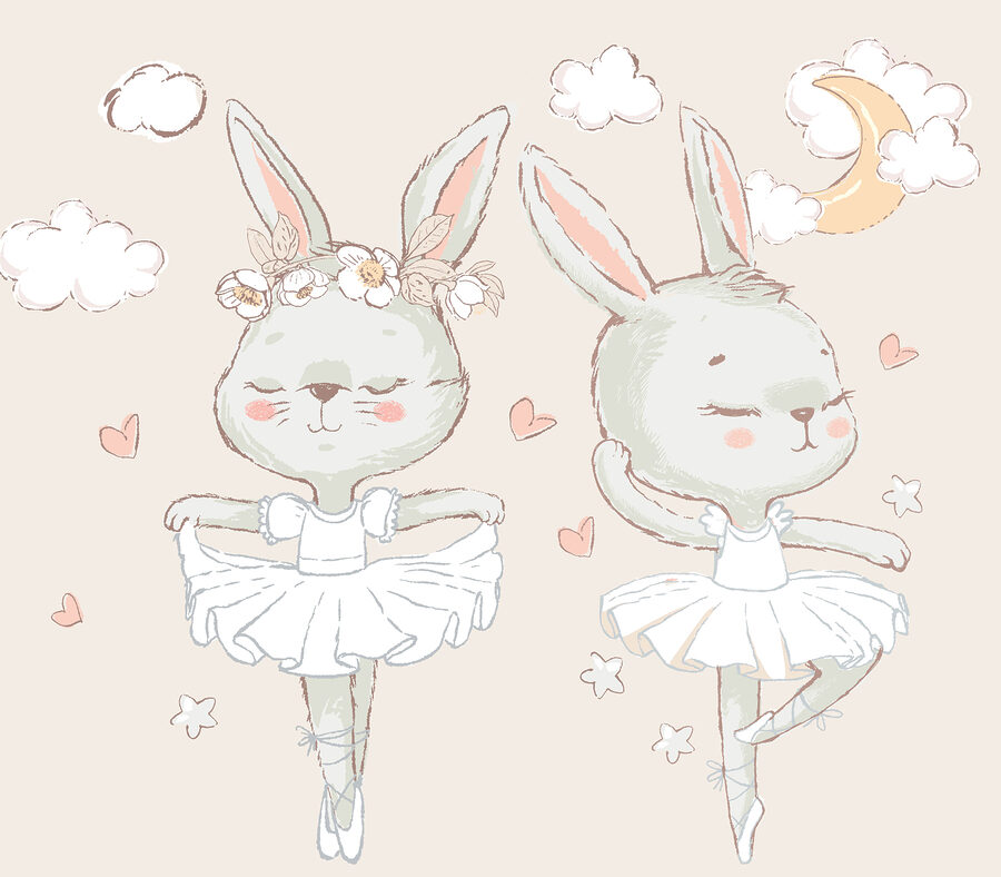 Pareja de conejitos con tutú de ballet