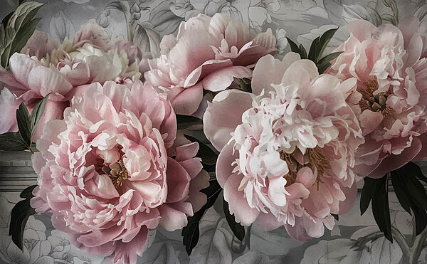 Grupo de flores rosas Grupo de flores rosas