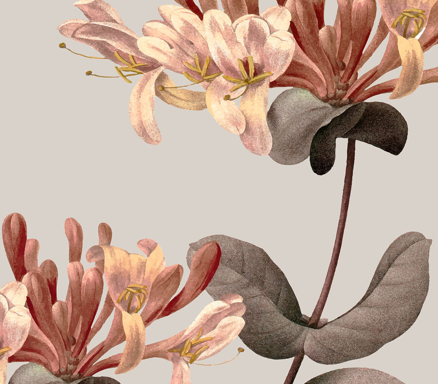 Primer plano de flores