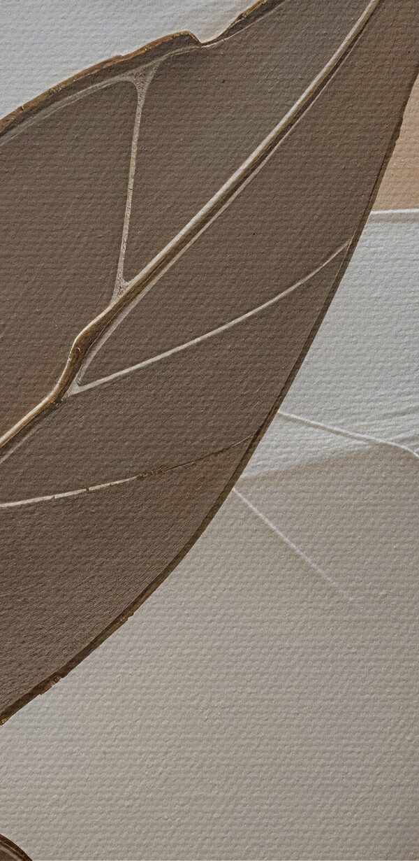 Close up of a leaf