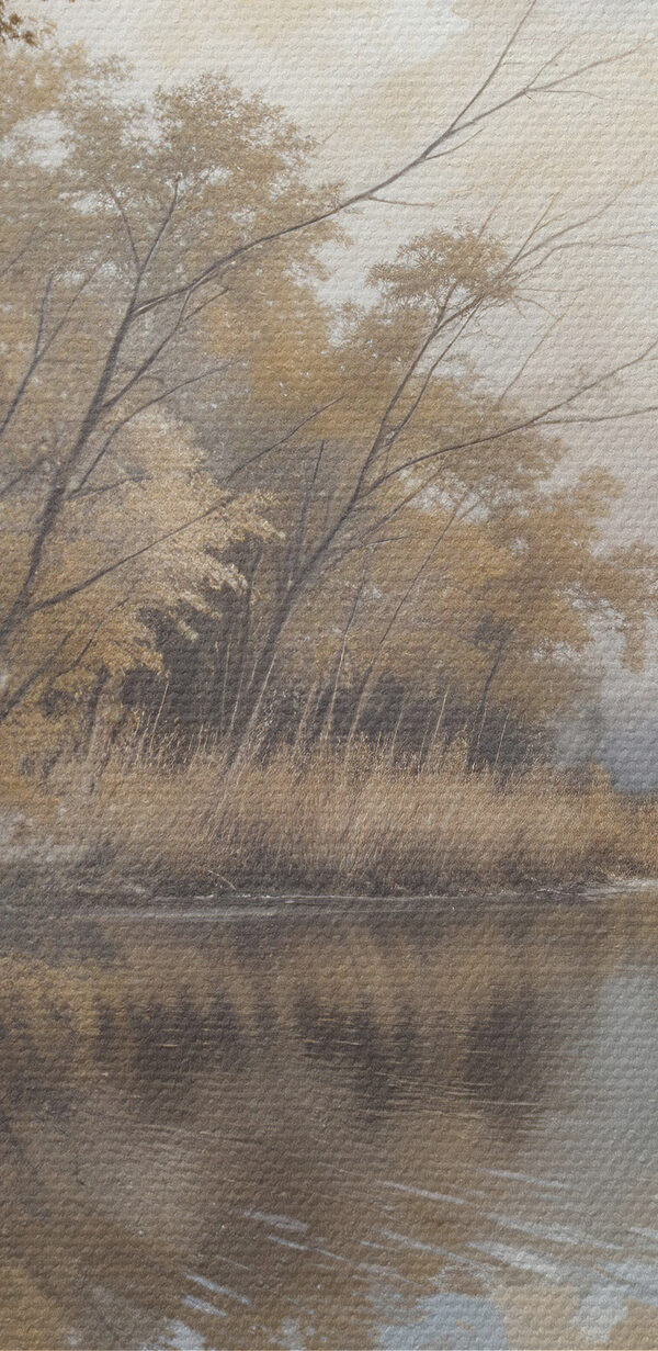 River with trees and bushes River with trees and bushes