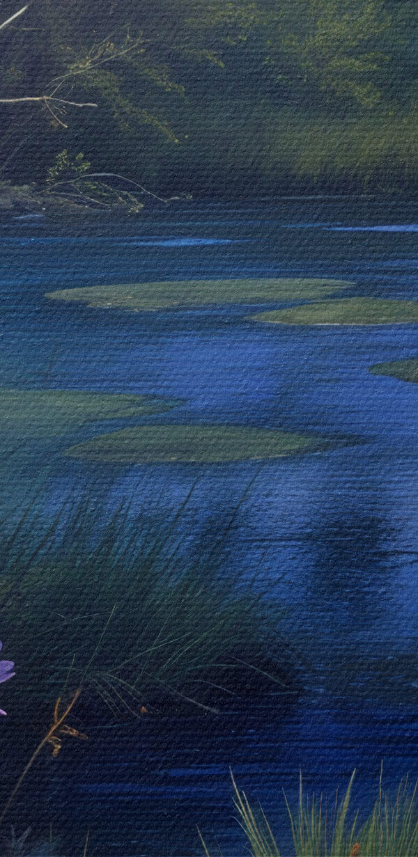 Pond with flowers and grass Pond with flowers and grass