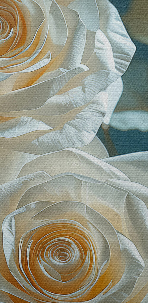 Group of white roses Group of white roses