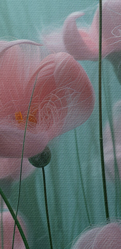 Close up of flowers Close up of flowers