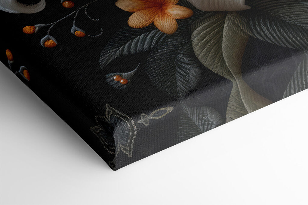 White and orange flowers on a black background