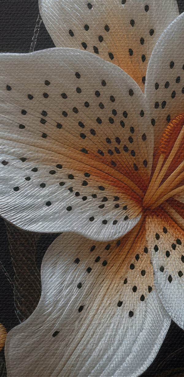 White and orange flowers on a black background