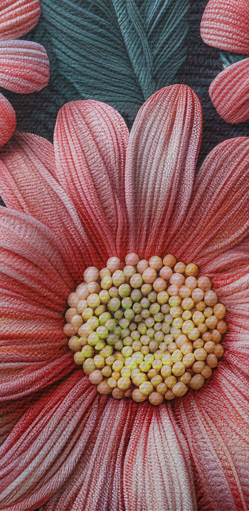 Group of pink flowers