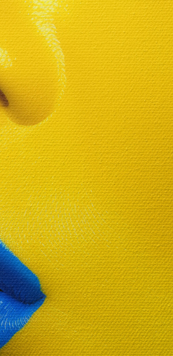 Bold colors create striking beauty Bold colors create striking beauty