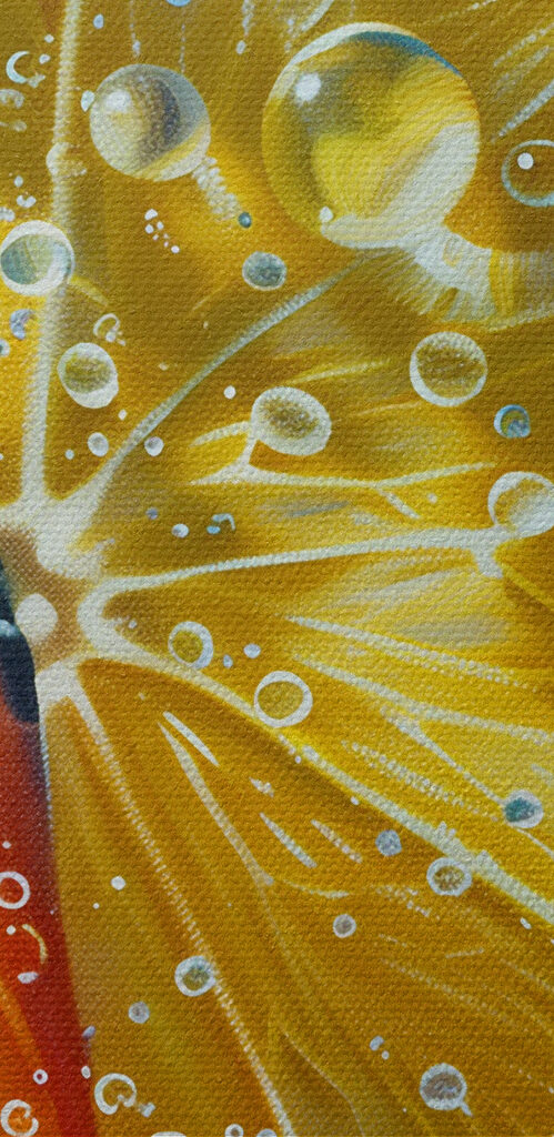 Close up of fruit slices in water Close up of fruit slices in water