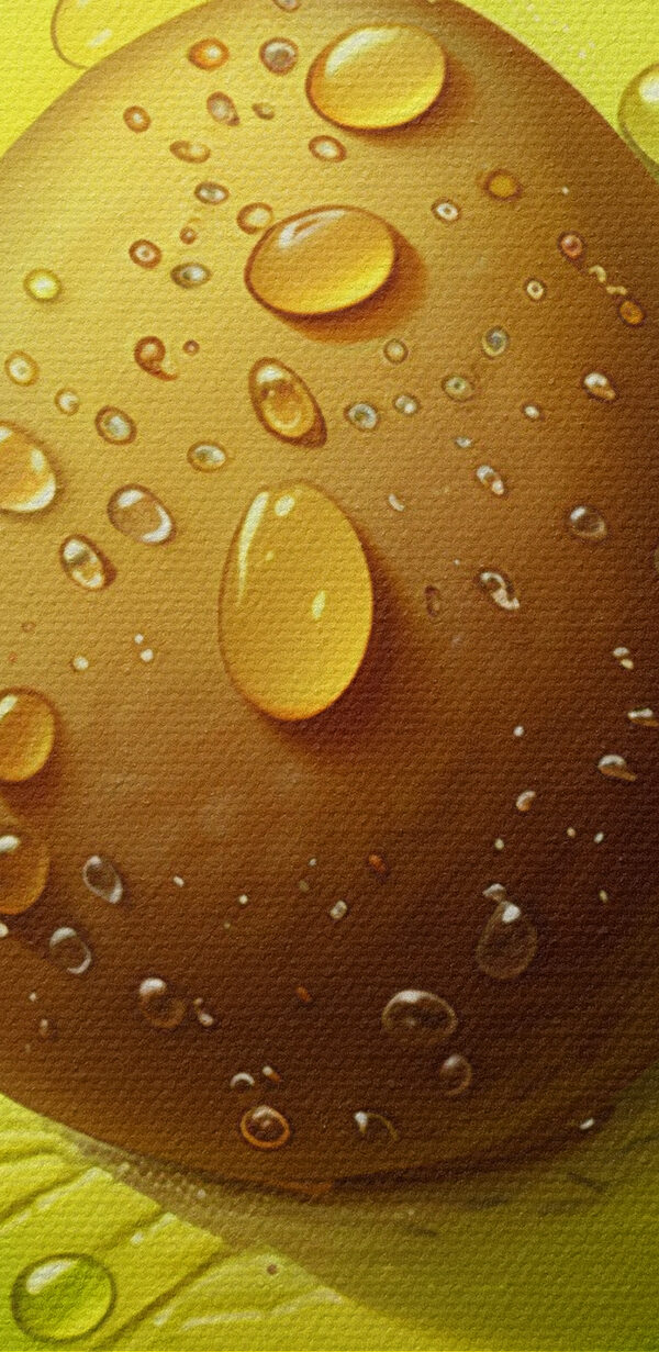 Close up of an avocado