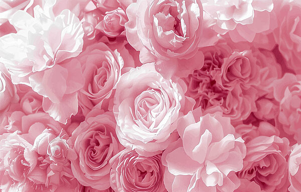 Grupo de flores rosas Grupo de flores rosas