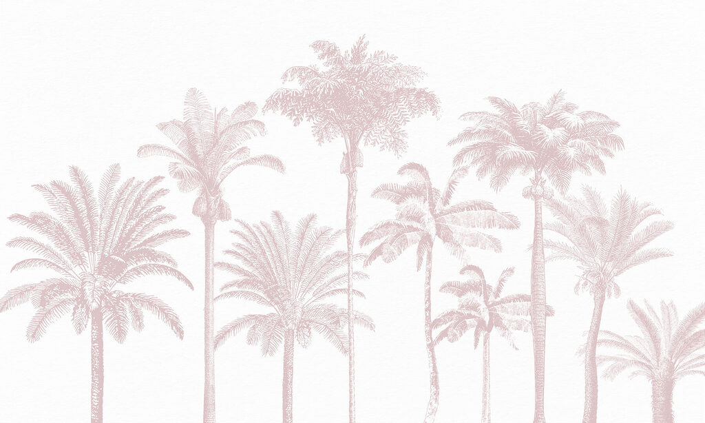 Grupo de palmeras Grupo de palmeras
