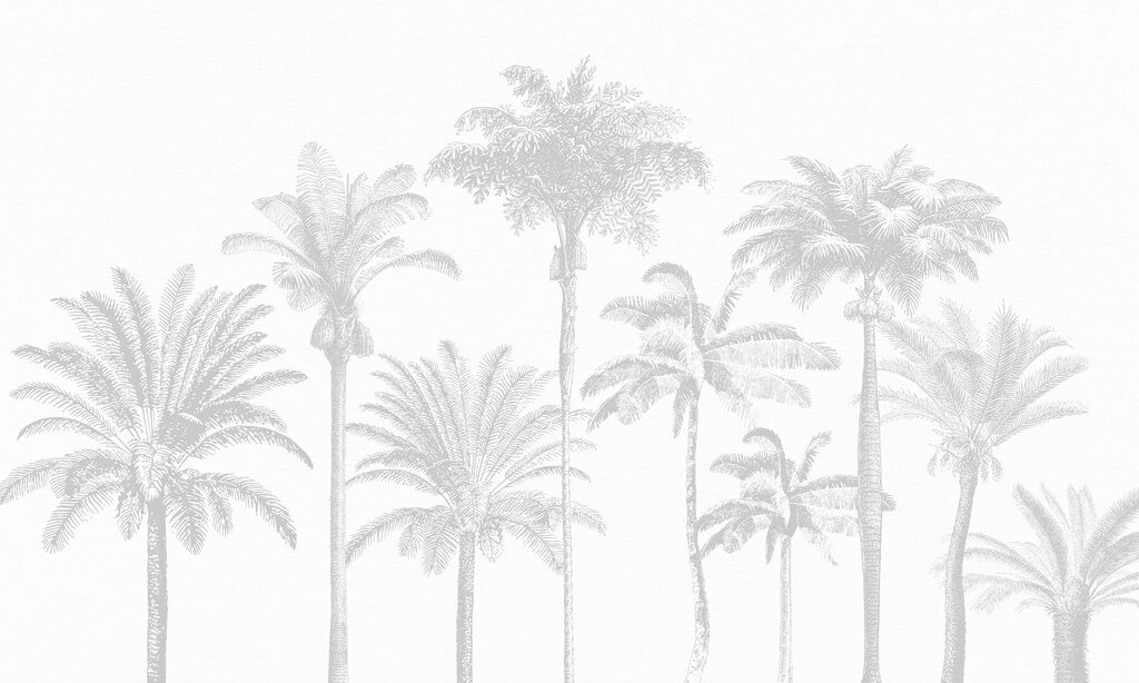 Grupo de palmeras Grupo de palmeras