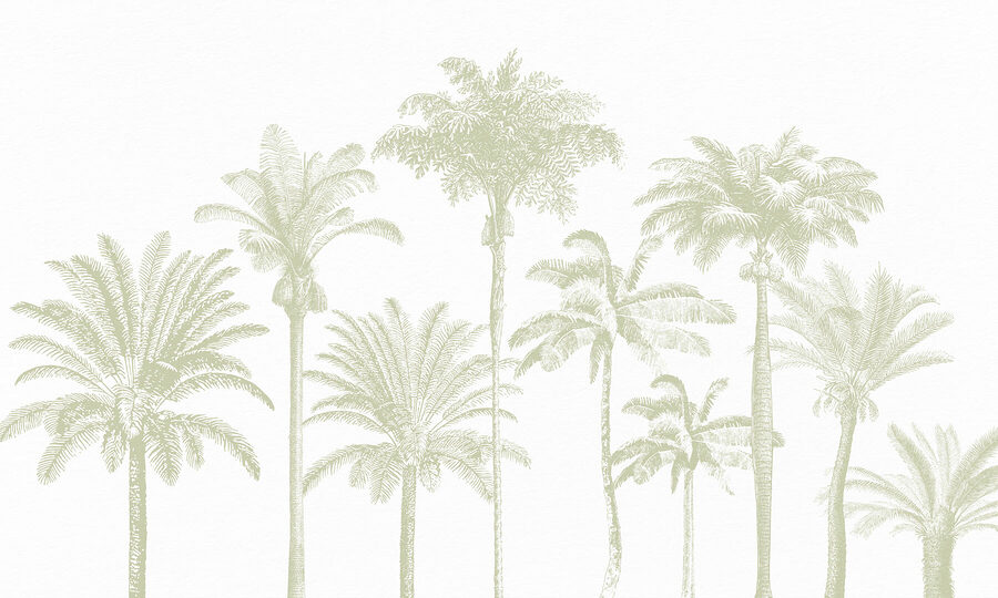 Grupo de palmeras