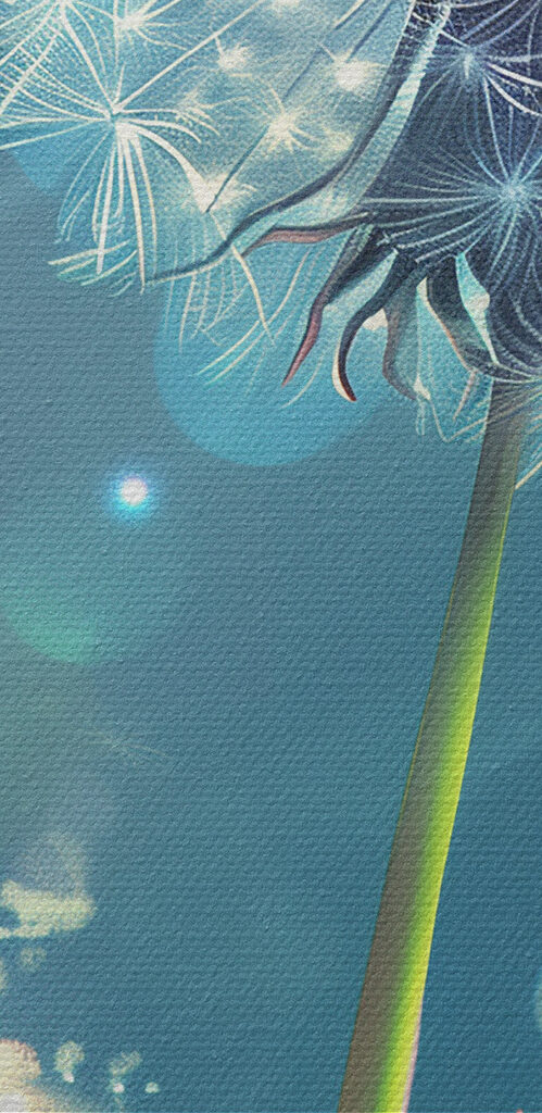 Dandelion with a blue sky and clouds Dandelion with a blue sky and clouds