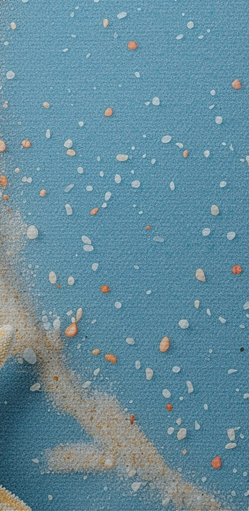 Group of shells and starfishes on a blue surface Group of shells and starfishes on a blue surface
