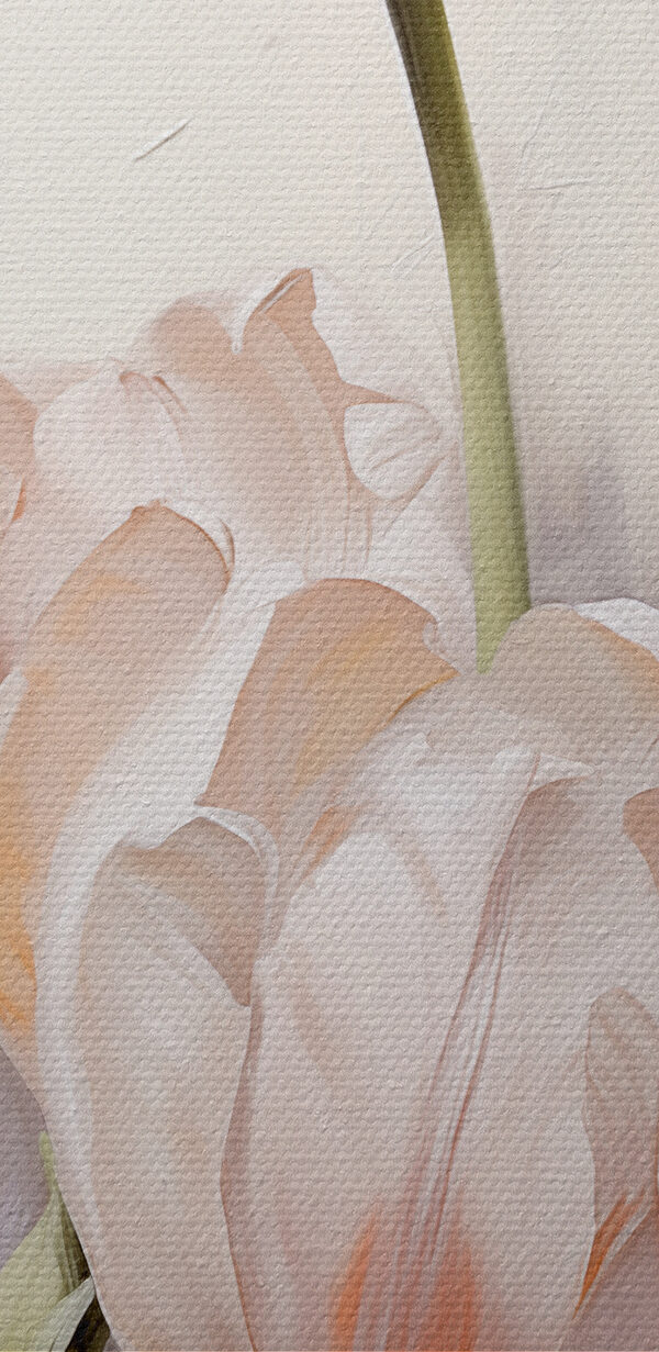 Painting of white tulips Painting of white tulips