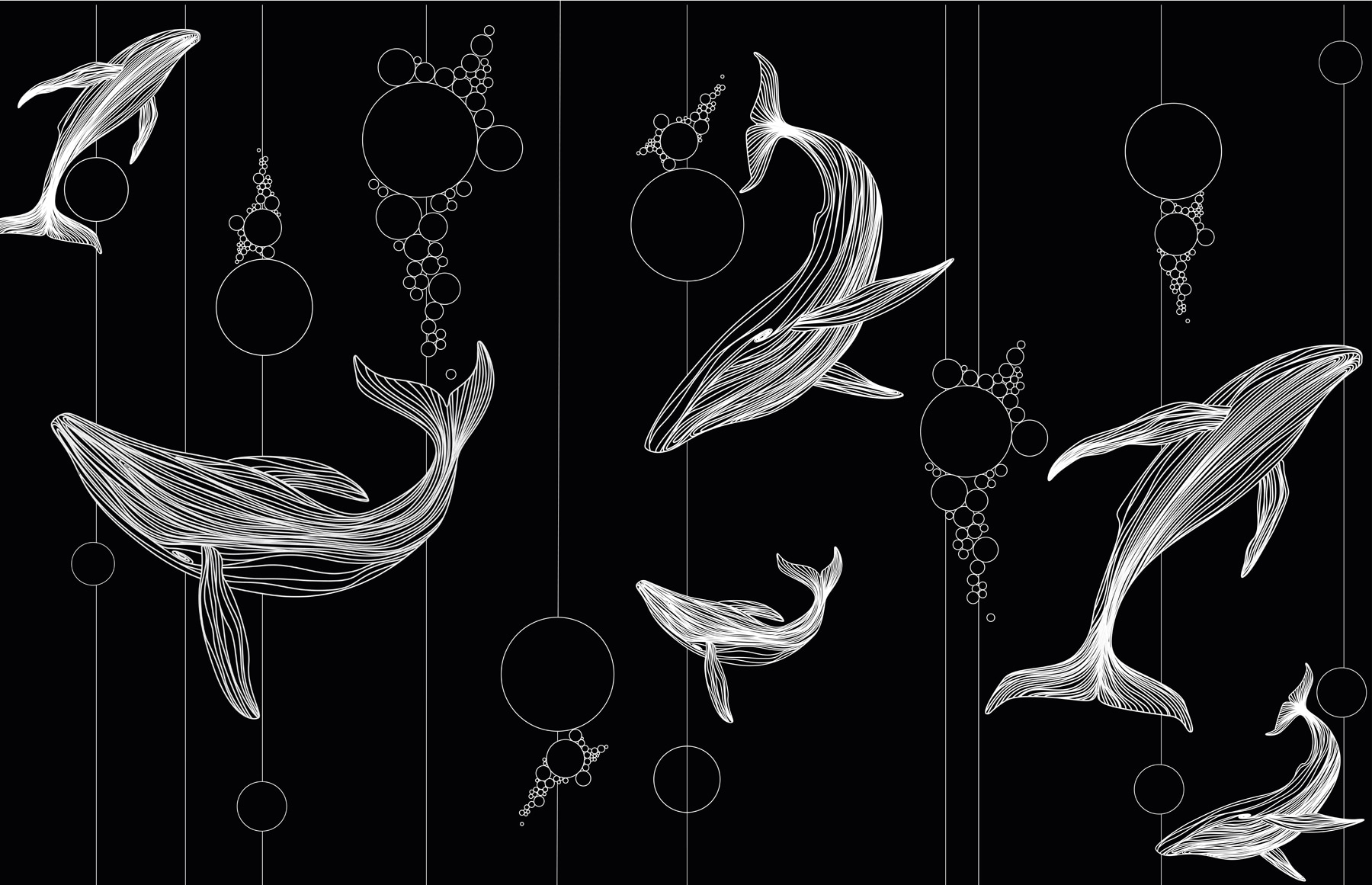 Group of whales and bubbles