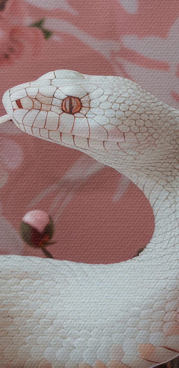 White snake with pink flowers