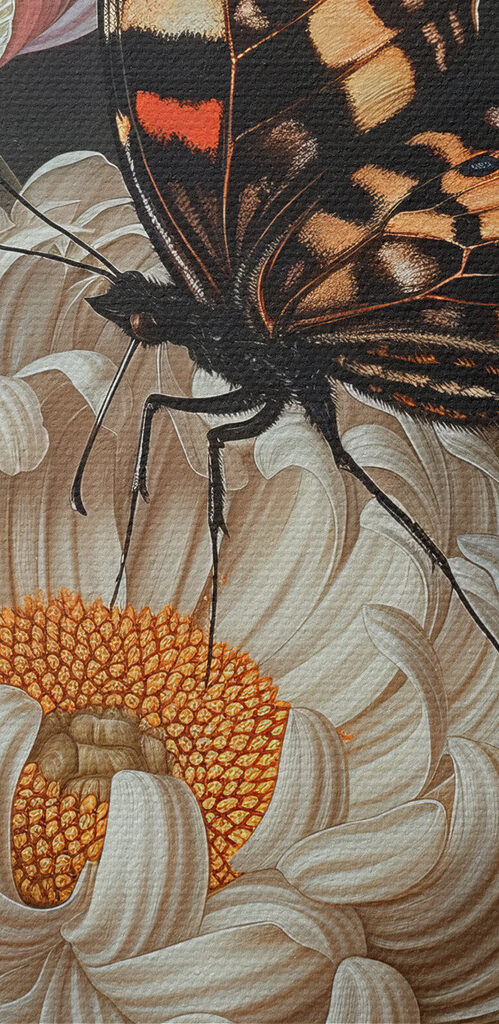 Butterfly on a flower Butterfly on a flower