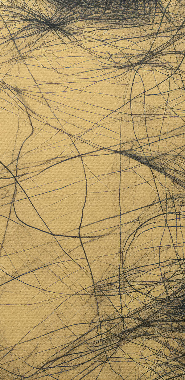 Drawing of a woman's face Drawing of a woman's face