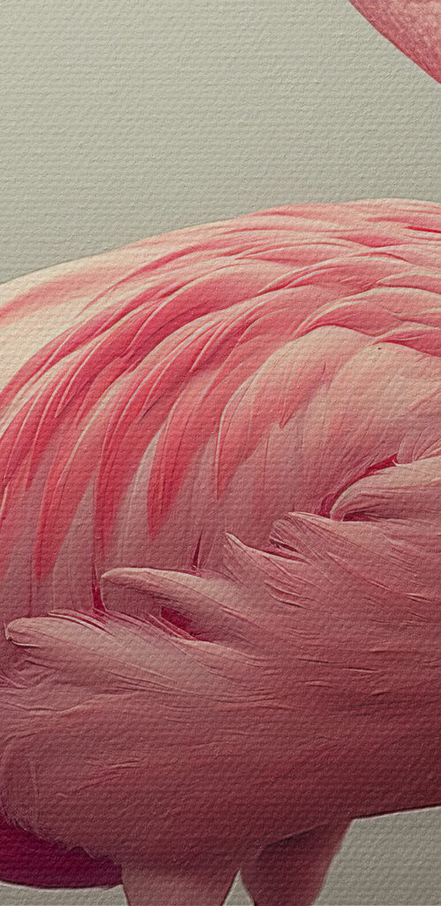 Pink flamingo standing in water Pink flamingo standing in water
