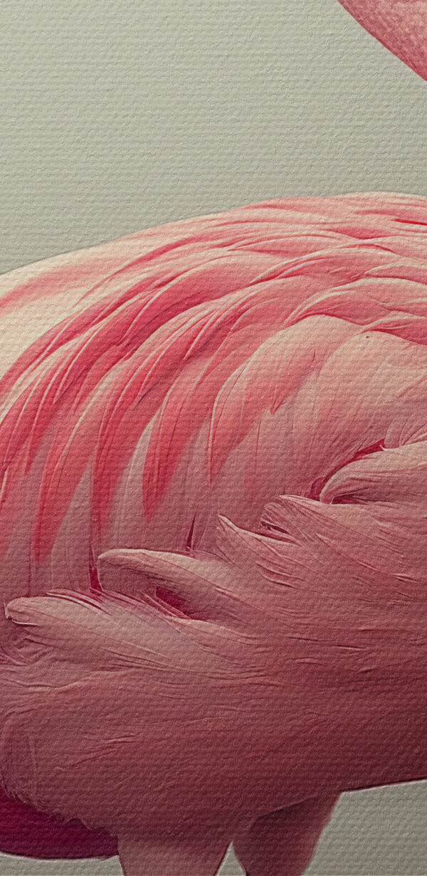 Pink flamingo standing in water Pink flamingo standing in water