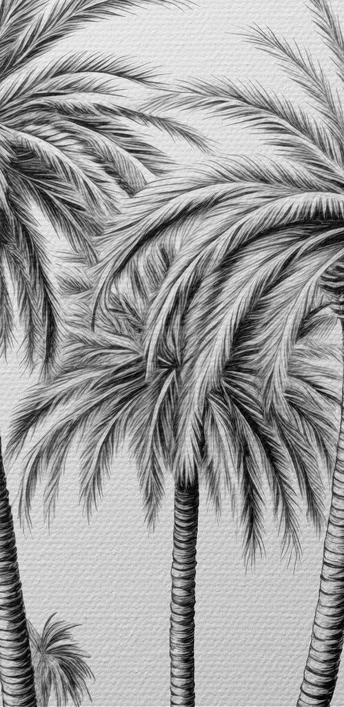 Group of palm trees in a desert Group of palm trees in a desert