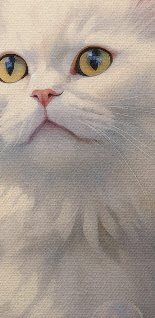 White cat surrounded by flowers and bubbles
