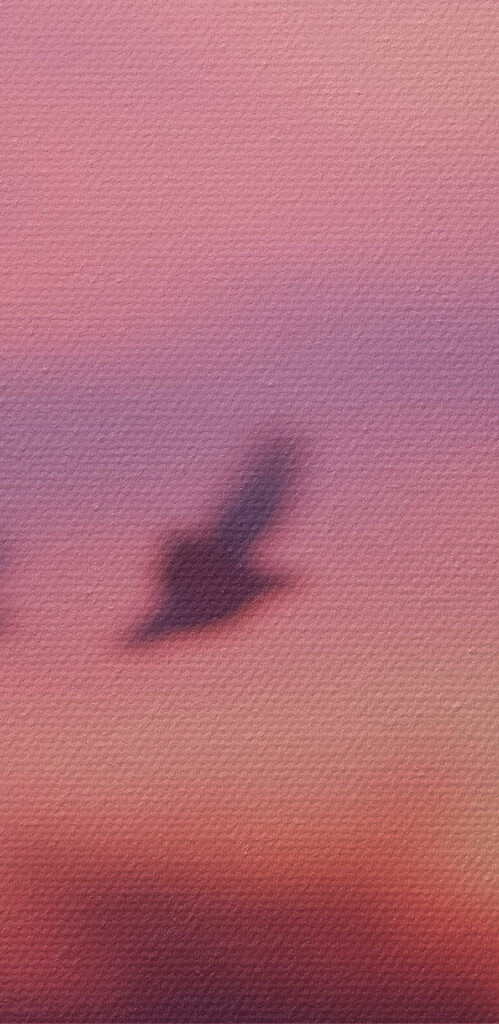 Group of birds flying in the sky Group of birds flying in the sky