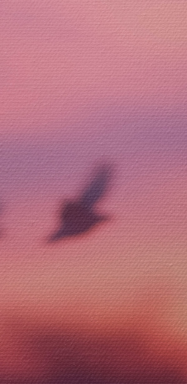 Group of birds flying in the sky Group of birds flying in the sky