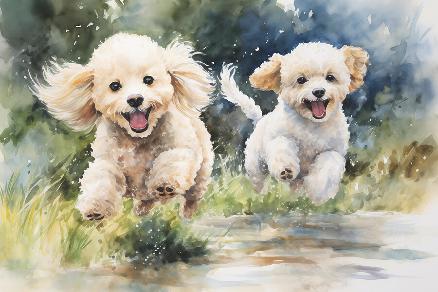 Dos perros saltando en el aire