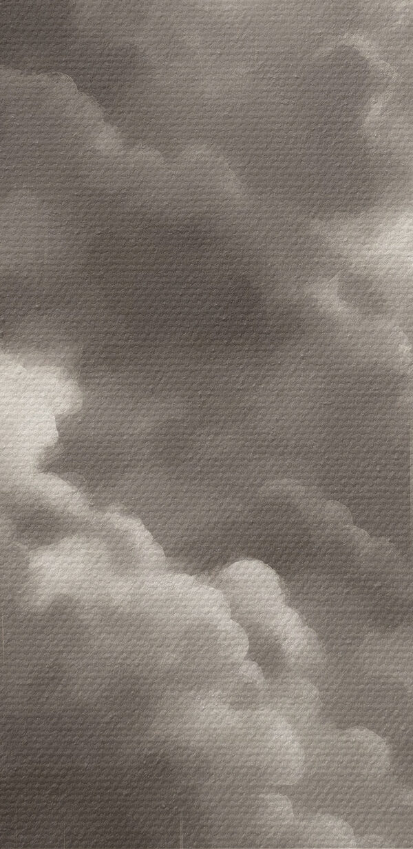 Black and white image of a forest and clouds Black and white image of a forest and clouds