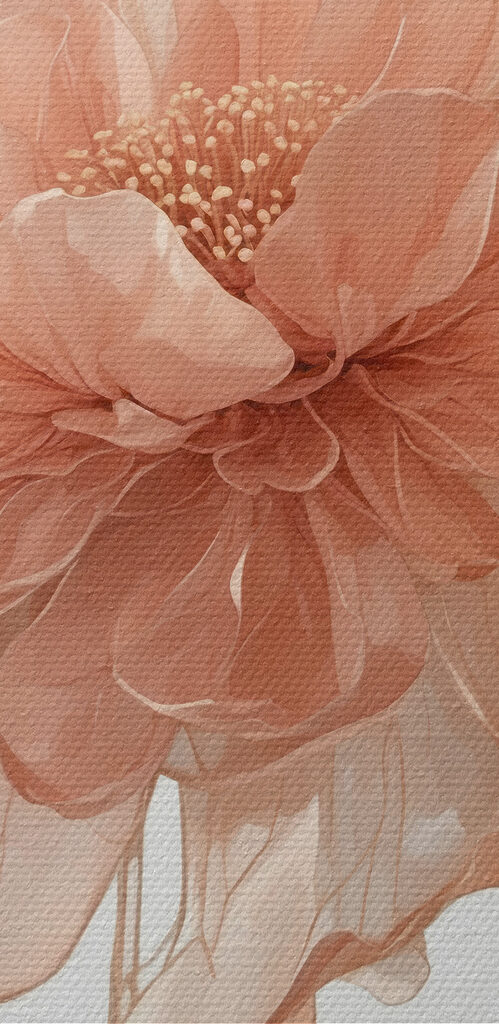 Close up of a flower Close up of a flower